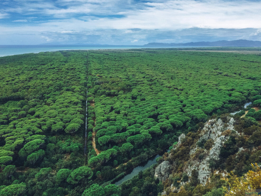 View from above of Maremma National Park