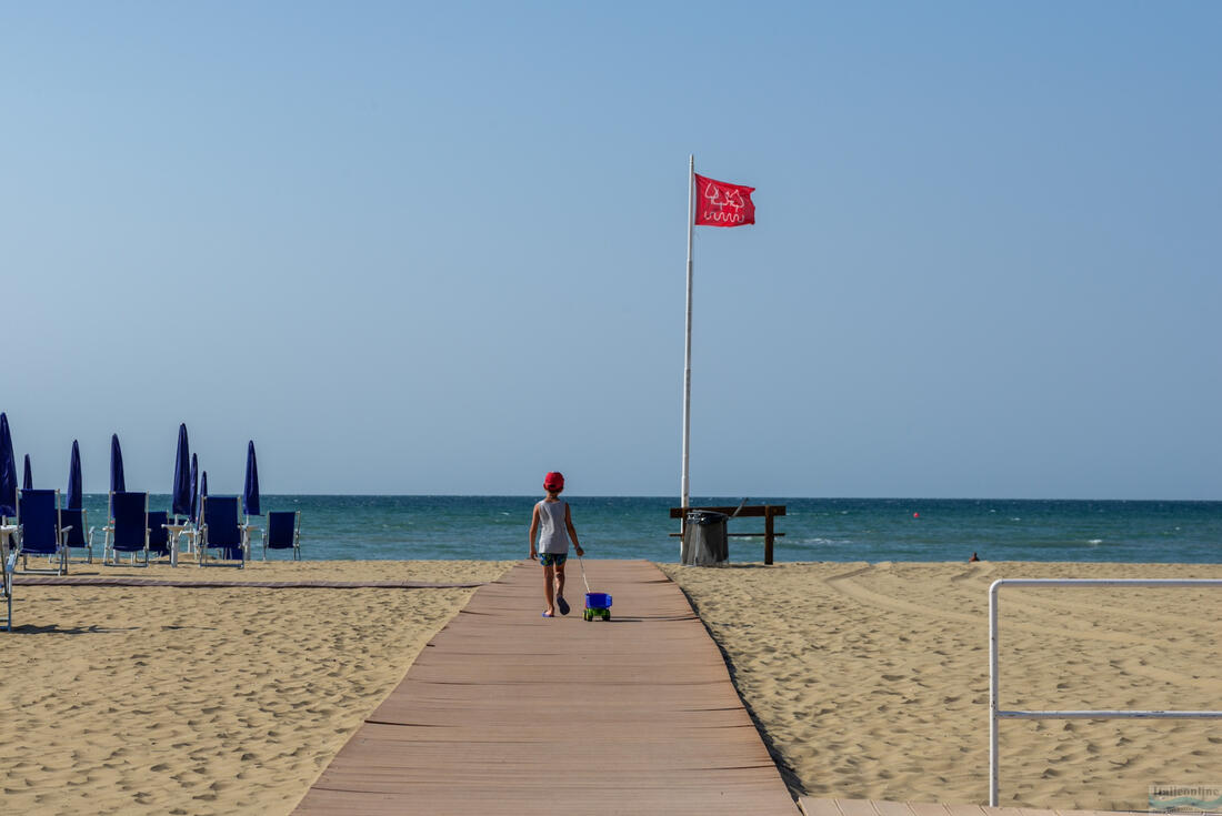 Bibione červená vlajka