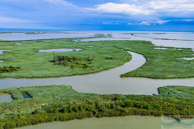 Delta of the Fall: A mysterious world of water, islands and wildlife