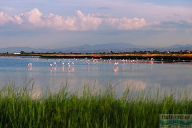 Cervia: salt, sun and tradition