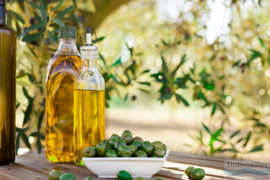 Italian olive oils - liquid gold