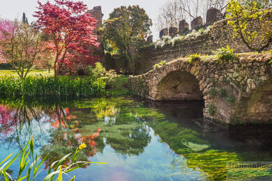 The magical garden of Giardino di Ninfa