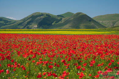 Umbria, the green heart of Italy