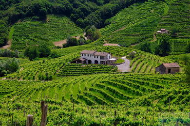 Prosecco Hills: a wine country and UNESCO monument in the heart of Veneto