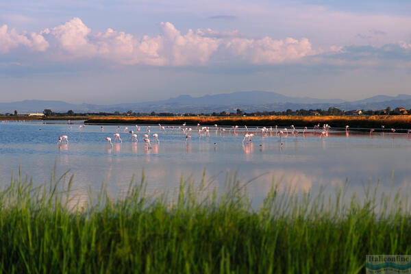 Cervia: salt, sun and tradition