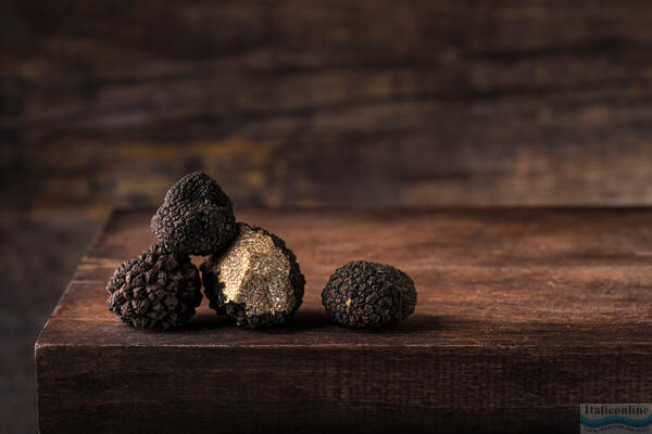 Truffles in Italy: Treasure hidden underground