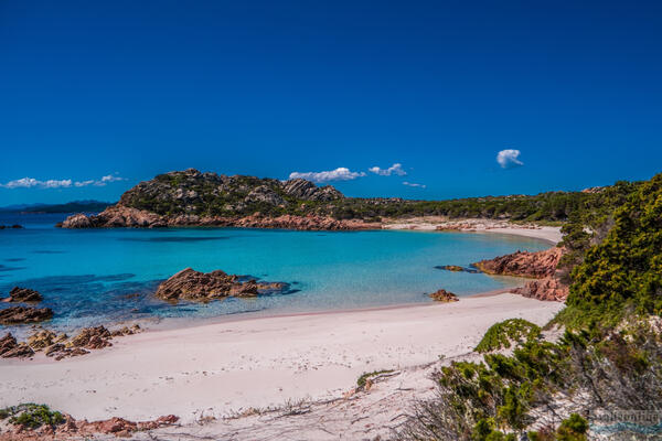 When nature paints: pink beach in Sardinia