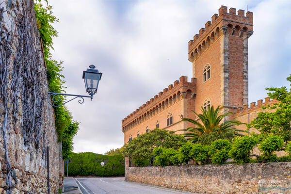 Bolgheri: between cypresses, vineyards and lavender fields