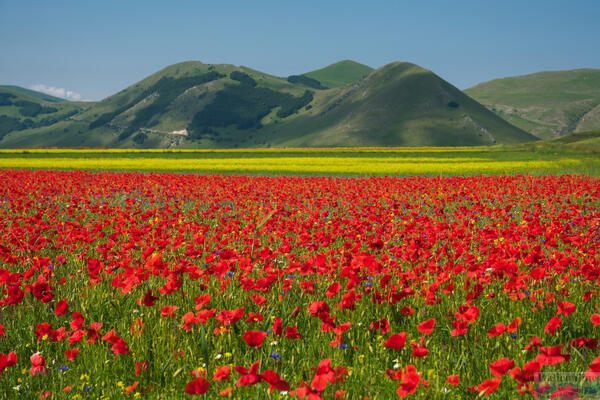 Umbria, the green heart of Italy