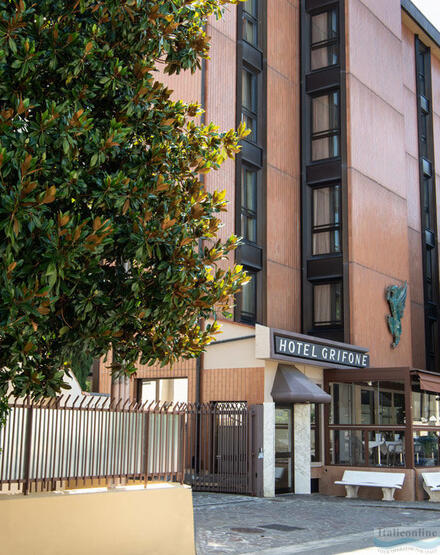 Hotel Grifone Firenze Florence (Firenze)