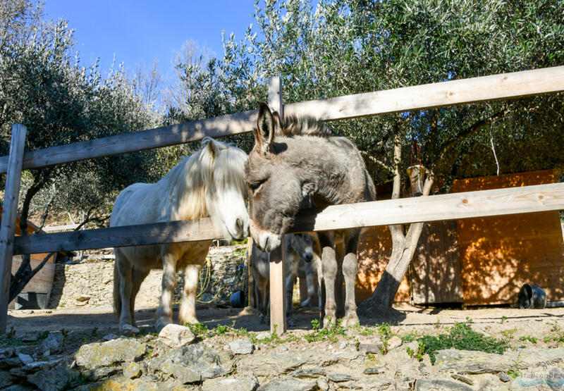 Agriturismo Peq Agri