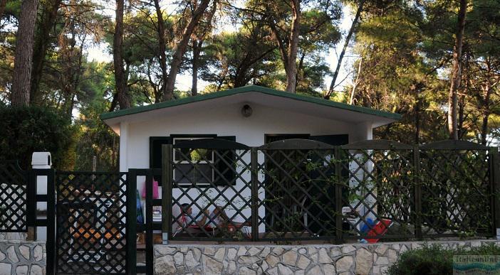 Camping Villaggio Internazionale