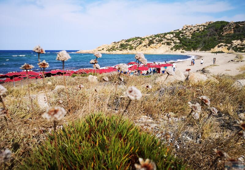 Club Esse Gallura Beach Village